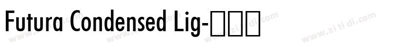 Futura Condensed Lig字体转换